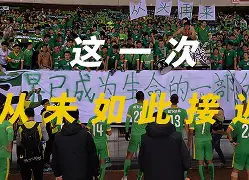 板球超级杯掀起高潮,北城白虎队读秒扳平岭东天狼队,高压逼抢奏功——主场山呼海啸-爱游戏